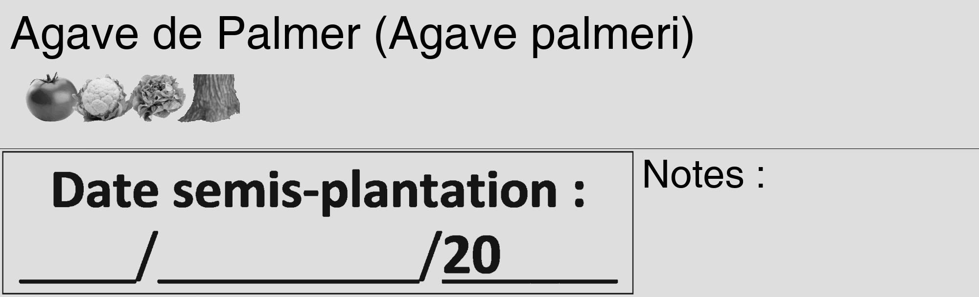 Étiquette de : Agave palmeri - format c - style noire20_basique_basiquehel avec comestibilité simplifiée