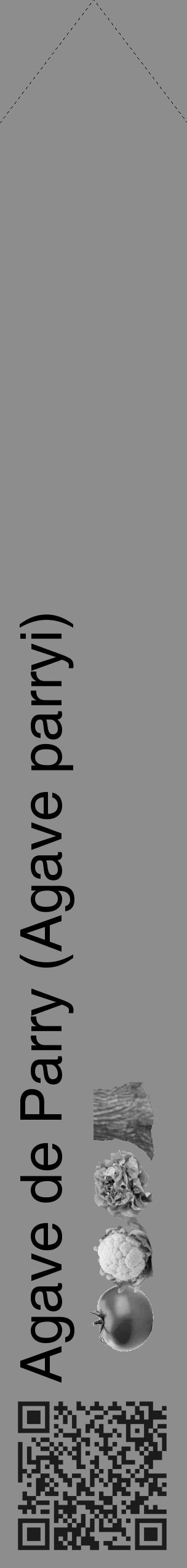 Étiquette de : Agave parryi - format c - style noire2_simple_simplehel avec qrcode et comestibilité simplifiée - position verticale