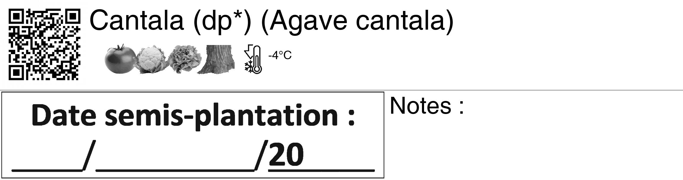 Étiquette de : Agave cantala - format c - style noire60_basiquegrrvhel avec qrcode et comestibilité simplifiée
