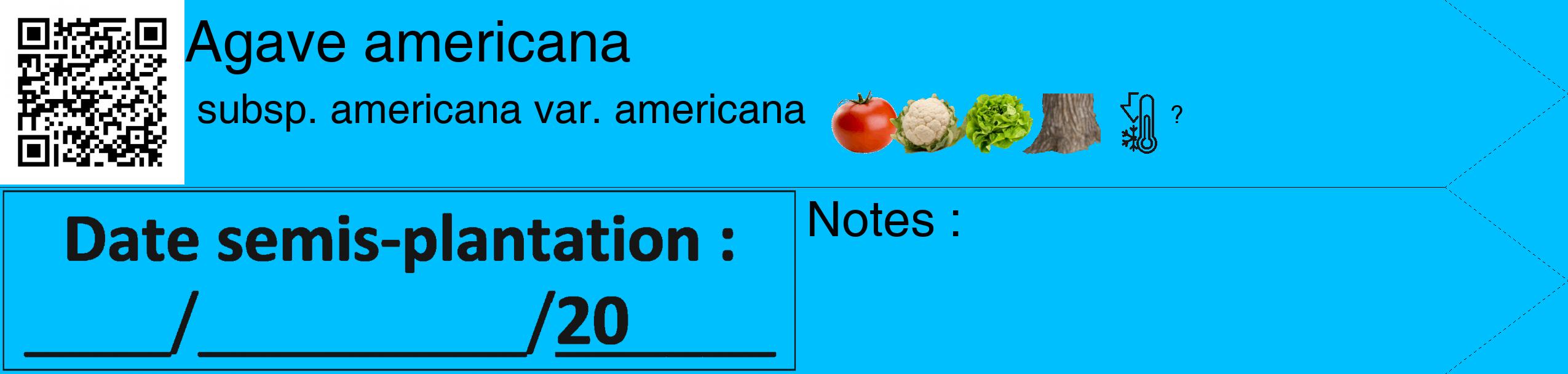 Étiquette de : Agave americana subsp. americana var. americana - format c - style noire2_simple_simplehel avec qrcode et comestibilité simplifiée