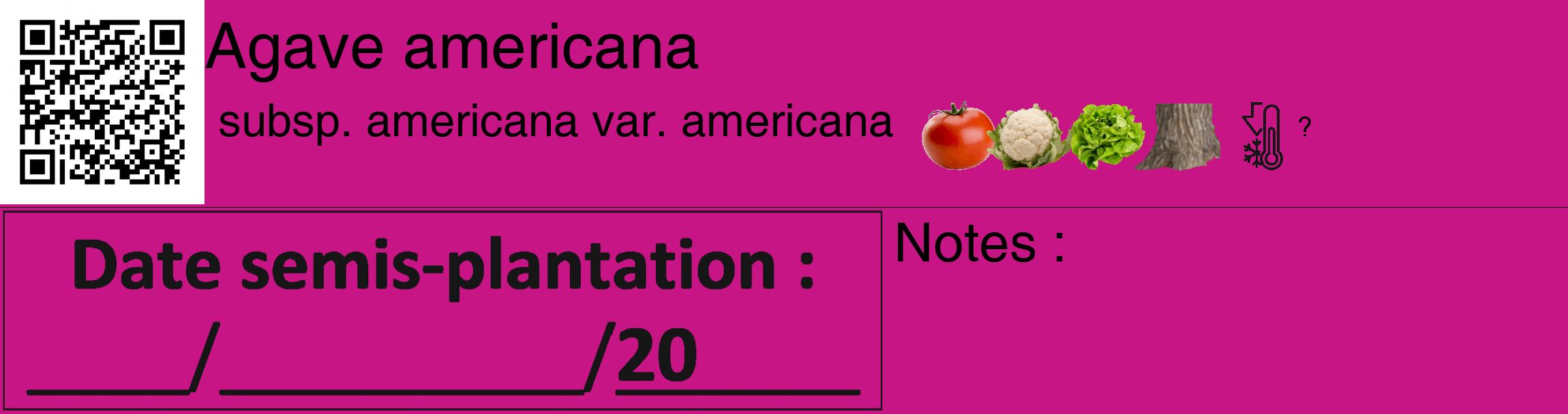 Étiquette de : Agave americana subsp. americana var. americana - format c - style noire45_basique_basiquehel avec qrcode et comestibilité simplifiée