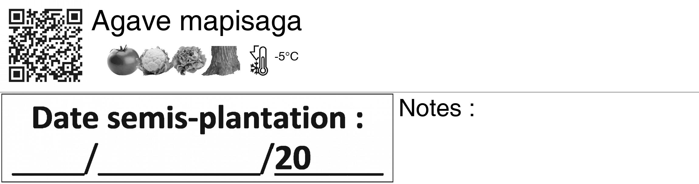 Étiquette de : Agave mapisaga - format c - style noire60_basiquegrrvhel avec qrcode et comestibilité simplifiée