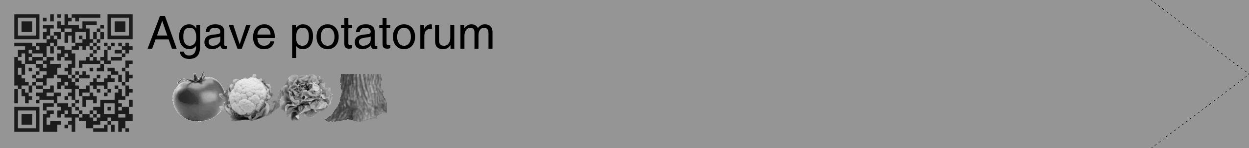 Étiquette de : Agave potatorum - format c - style noire16_simple_simplehel avec qrcode et comestibilité simplifiée