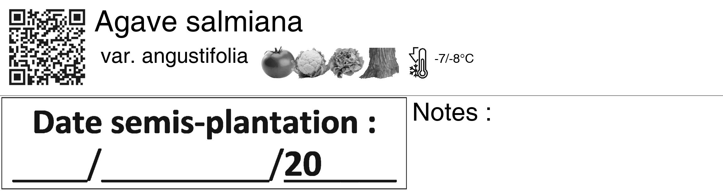 Étiquette de : Agave salmiana var. angustifolia - format c - style noire60_basiquegrrvhel avec qrcode et comestibilité simplifiée