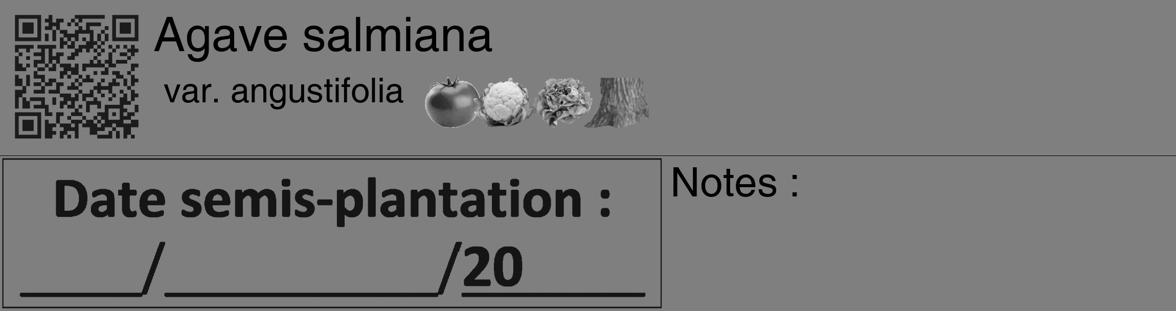 Étiquette de : Agave salmiana var. angustifolia - format c - style noire31_basique_basiquehel avec qrcode et comestibilité simplifiée