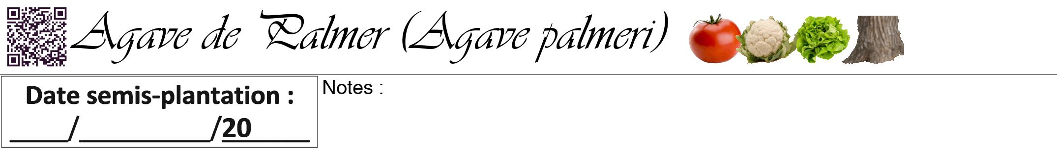 Étiquette de : Agave palmeri - format a - style noire60viv avec qrcode et comestibilité simplifiée