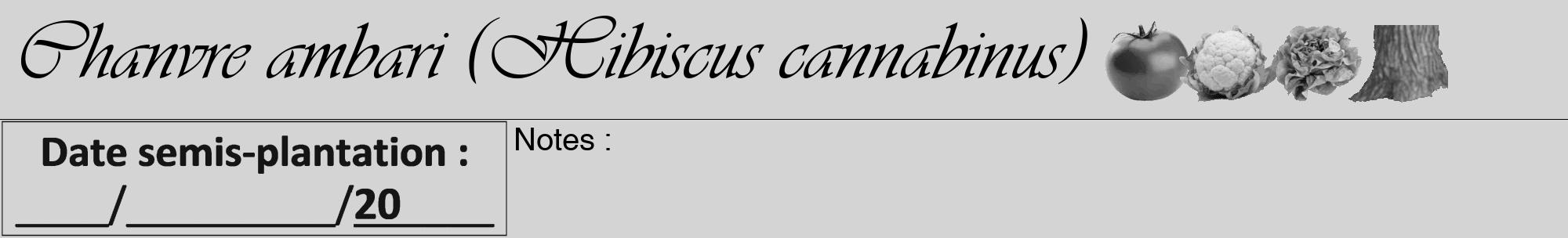 Étiquette de : Hibiscus cannabinus - format a - style noire40viv avec comestibilité simplifiée