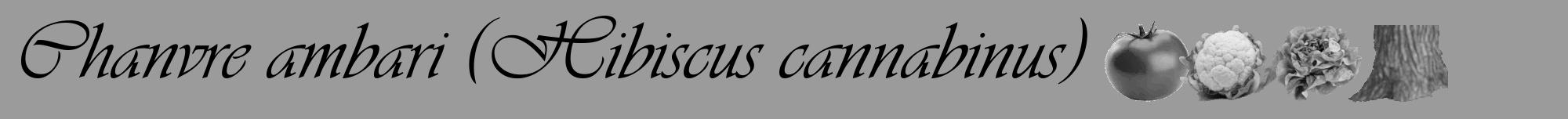 Étiquette de : Hibiscus cannabinus - format a - style noire52viv avec comestibilité simplifiée