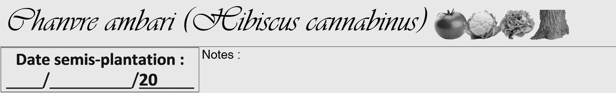 Étiquette de : Hibiscus cannabinus - format a - style noire55viv avec comestibilité simplifiée