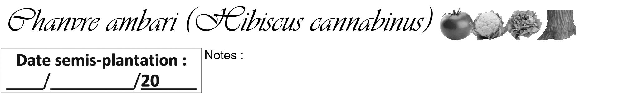 Étiquette de : Hibiscus cannabinus - format a - style noire60viv avec comestibilité simplifiée