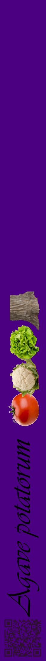 Étiquette de : Agave potatorum - format a - style noire47viv avec qrcode et comestibilité simplifiée