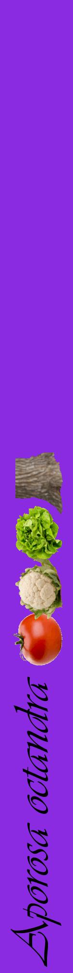 Étiquette de : Aporosa octandra - format a - style noire49viv avec comestibilité simplifiée