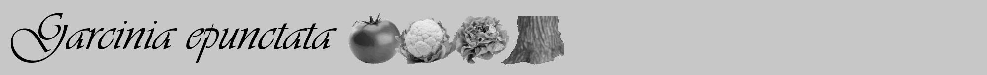 Étiquette de : Garcinia epunctata - format a - style noire15viv avec comestibilité simplifiée