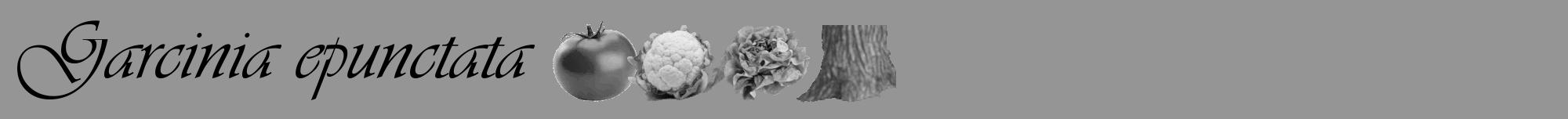 Étiquette de : Garcinia epunctata - format a - style noire16viv avec comestibilité simplifiée