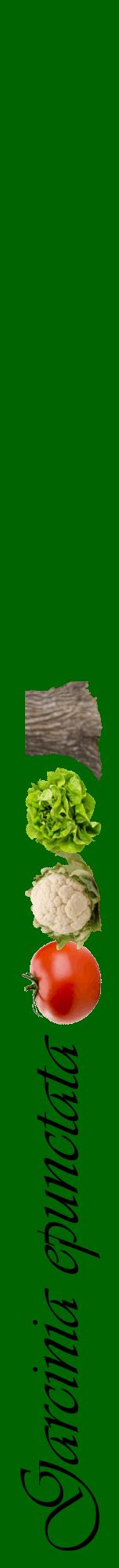 Étiquette de : Garcinia epunctata - format a - style noire8viv avec comestibilité simplifiée