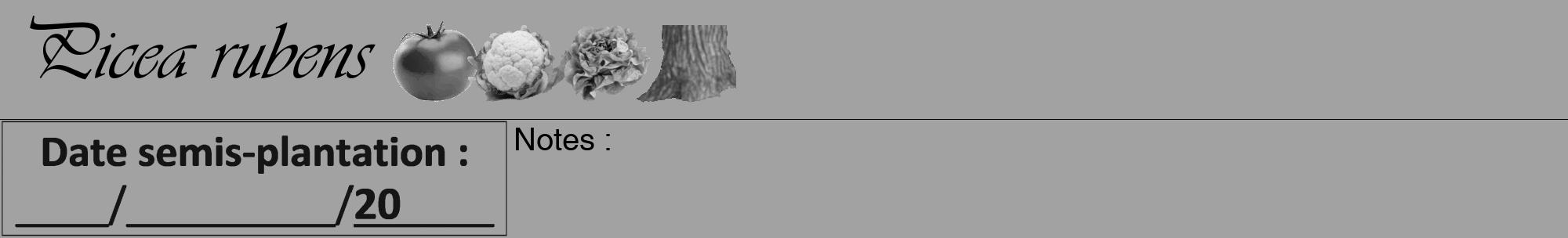 Étiquette de : Picea rubens - format a - style noire38viv avec comestibilité simplifiée