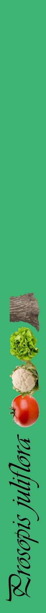 Étiquette de : Prosopis juliflora - format a - style noire12viv avec comestibilité simplifiée