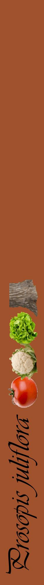 Étiquette de : Prosopis juliflora - format a - style noire32viv avec comestibilité simplifiée