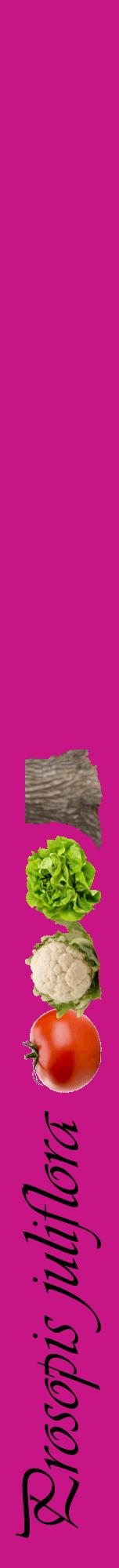 Étiquette de : Prosopis juliflora - format a - style noire45viv avec comestibilité simplifiée
