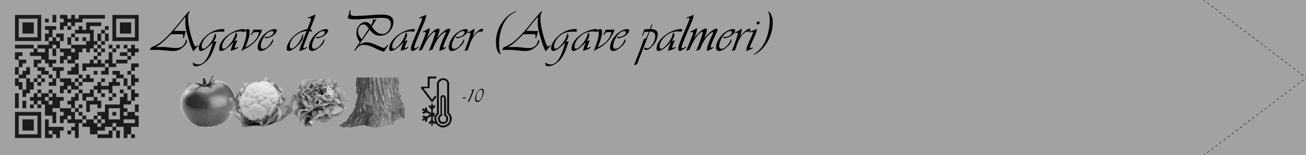 Étiquette de : Agave palmeri - format c - style noire38_simple_simpleviv avec qrcode et comestibilité simplifiée