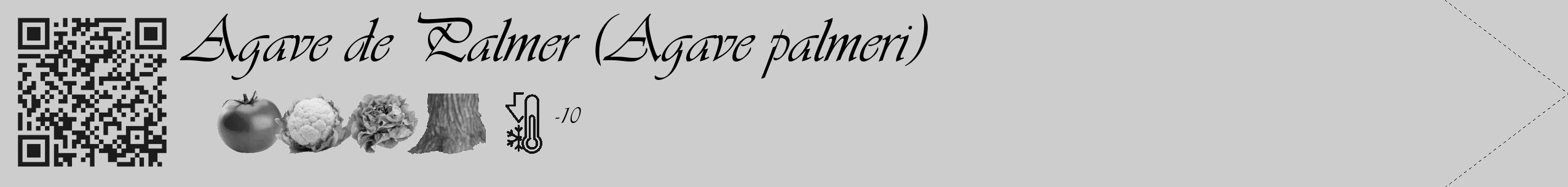 Étiquette de : Agave palmeri - format c - style noire41_simple_simpleviv avec qrcode et comestibilité simplifiée