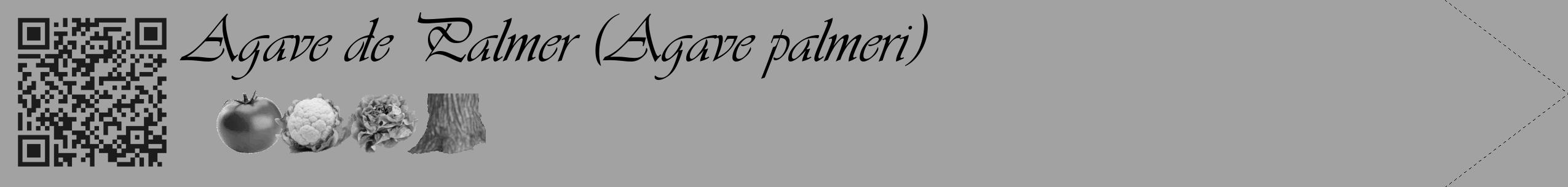 Étiquette de : Agave palmeri - format c - style noire38_simple_simpleviv avec qrcode et comestibilité simplifiée