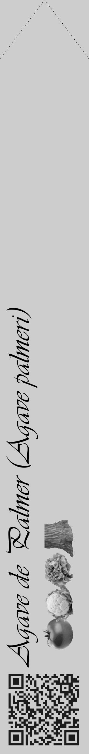 Étiquette de : Agave palmeri - format c - style noire41_simple_simpleviv avec qrcode et comestibilité simplifiée - position verticale