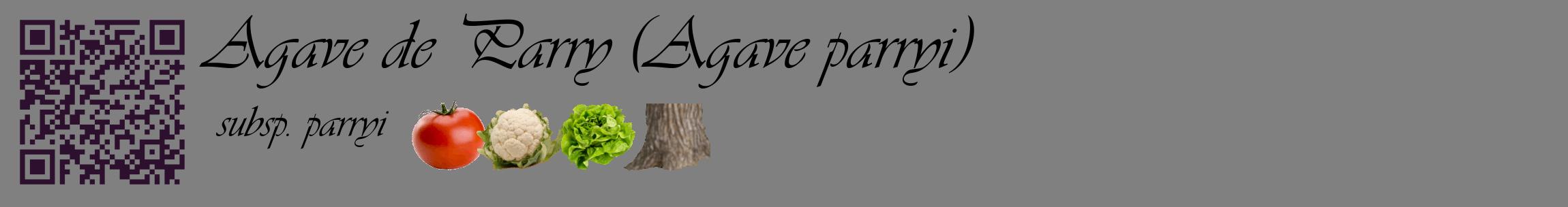 Étiquette de : Agave parryi subsp. parryi - format c - style noire57basique_basique_basiqueviv avec qrcode et comestibilité simplifiée