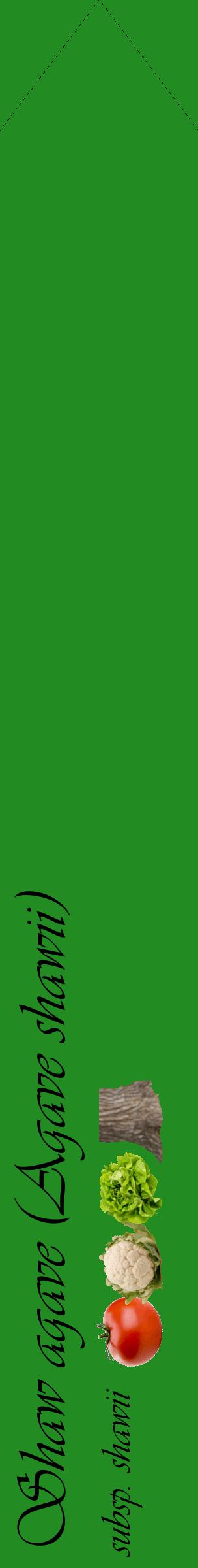 Étiquette de : Agave shawii subsp. shawii - format c - style noire10_simpleviv avec comestibilité simplifiée