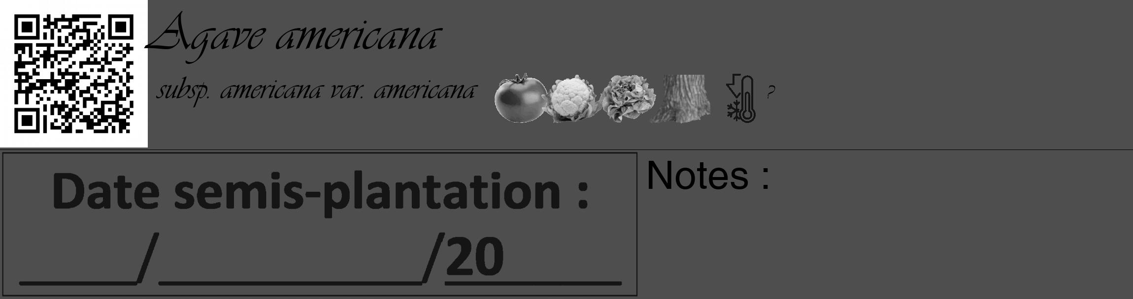 Étiquette de : Agave americana subsp. americana var. americana - format c - style noire33_basique_basiqueviv avec qrcode et comestibilité simplifiée
