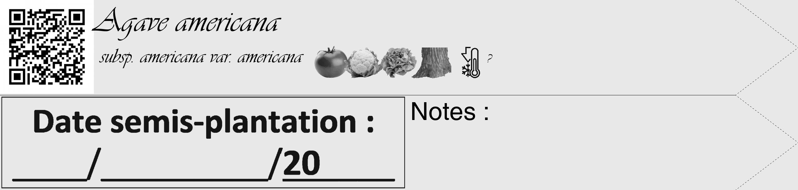 Étiquette de : Agave americana subsp. americana var. americana - format c - style noire55_simple_simpleviv avec qrcode et comestibilité simplifiée
