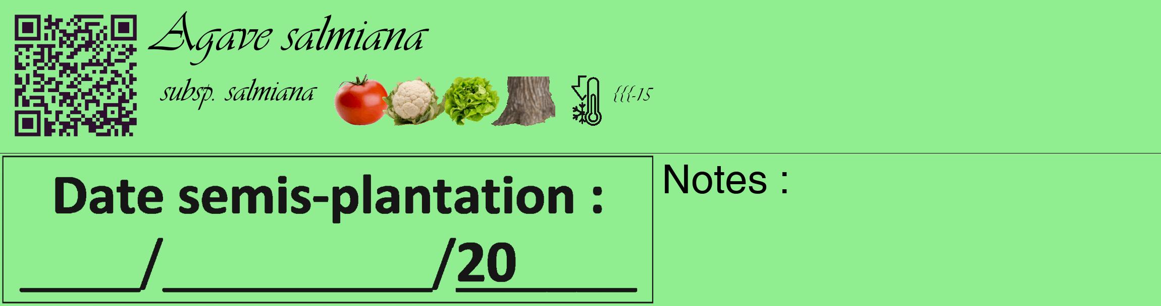 Étiquette de : Agave salmiana subsp. salmiana - format c - style noire15_basique_basiqueviv avec qrcode et comestibilité simplifiée