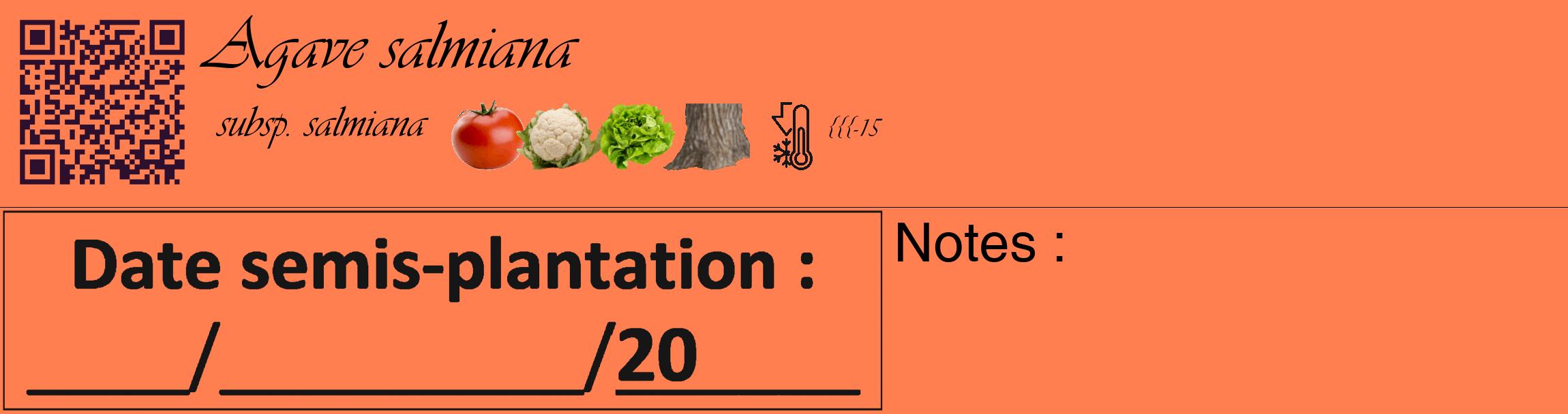 Étiquette de : Agave salmiana subsp. salmiana - format c - style noire24_basique_basiqueviv avec qrcode et comestibilité simplifiée