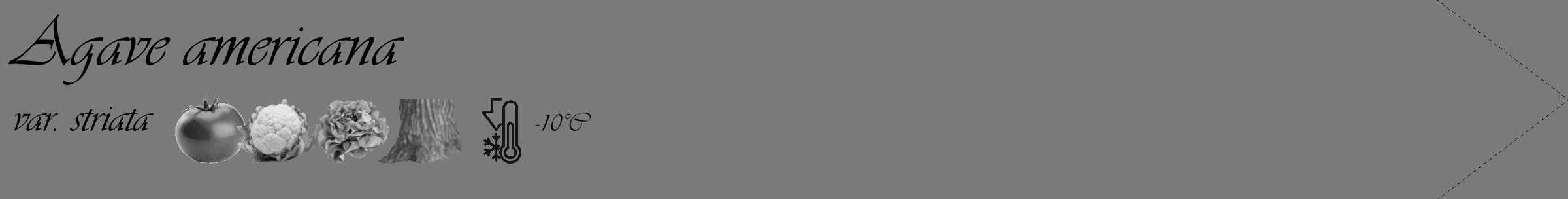 Étiquette de : Agave americana var. striata - format c - style noire3_simple_simpleviv avec comestibilité simplifiée