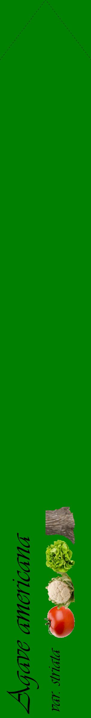 Étiquette de : Agave americana var. striata - format c - style noire9_simpleviv avec comestibilité simplifiée