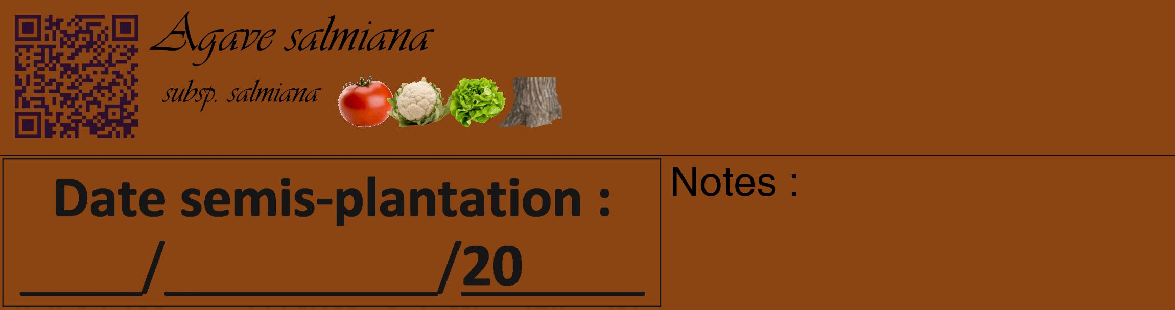 Étiquette de : Agave salmiana subsp. salmiana - format c - style noire30_basique_basiqueviv avec qrcode et comestibilité simplifiée