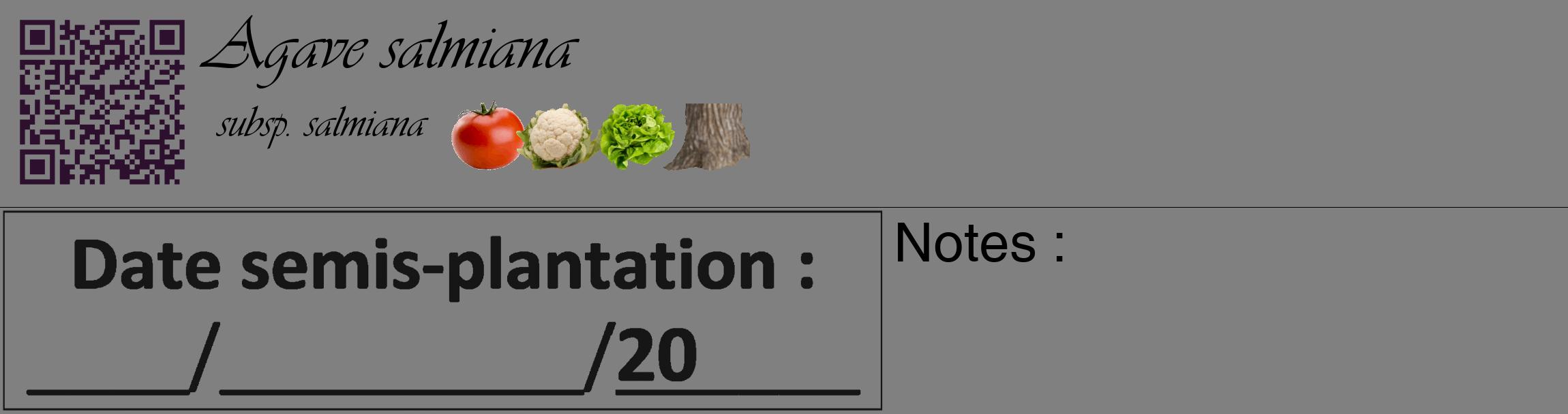 Étiquette de : Agave salmiana subsp. salmiana - format c - style noire57_basique_basiqueviv avec qrcode et comestibilité simplifiée
