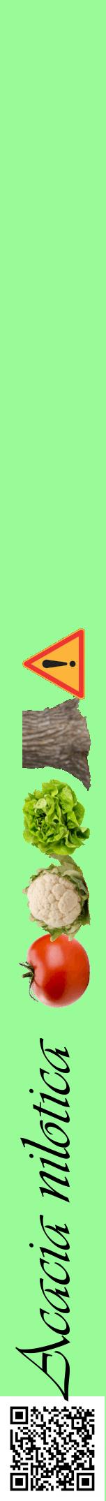 Étiquette de : Acacia nilotica - format a - style noire14viv avec qrcode et comestibilité simplifiée