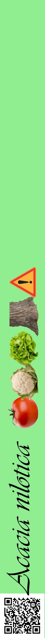 Étiquette de : Acacia nilotica - format a - style noire15viv avec qrcode et comestibilité simplifiée