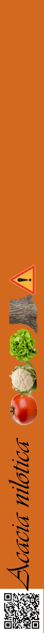 Étiquette de : Acacia nilotica - format a - style noire31viv avec qrcode et comestibilité simplifiée