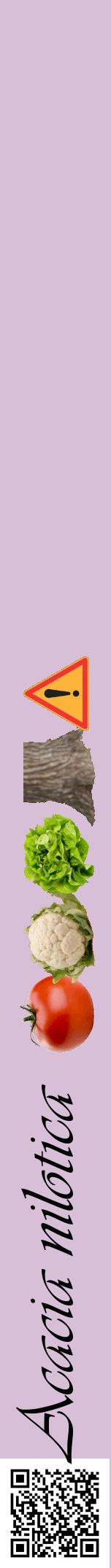 Étiquette de : Acacia nilotica - format a - style noire54viv avec qrcode et comestibilité simplifiée
