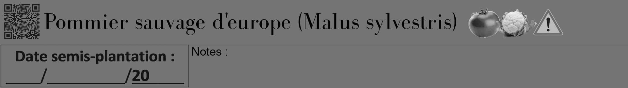 Étiquette de : Malus sylvestris - format a - style noire26bod avec qrcode et comestibilité simplifiée