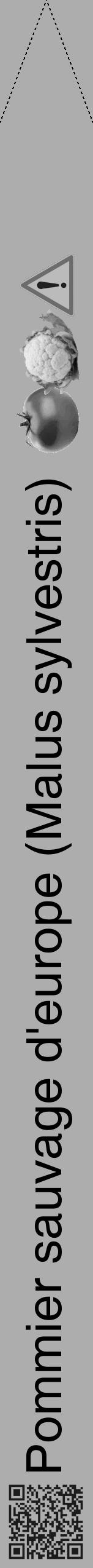 Étiquette de : Malus sylvestris - format b - style noire22hel avec qrcode et comestibilité simplifiée - position verticale