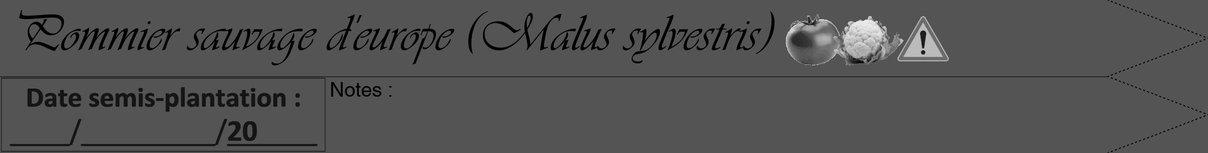 Étiquette de : Malus sylvestris - format a - style noire30simpleviv avec comestibilité simplifiée