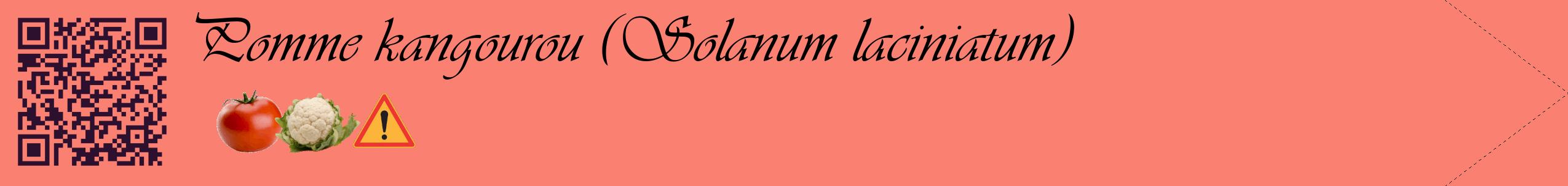 Étiquette de : Solanum laciniatum - format c - style noire38simple_basique_basiqueviv avec qrcode et comestibilité simplifiée