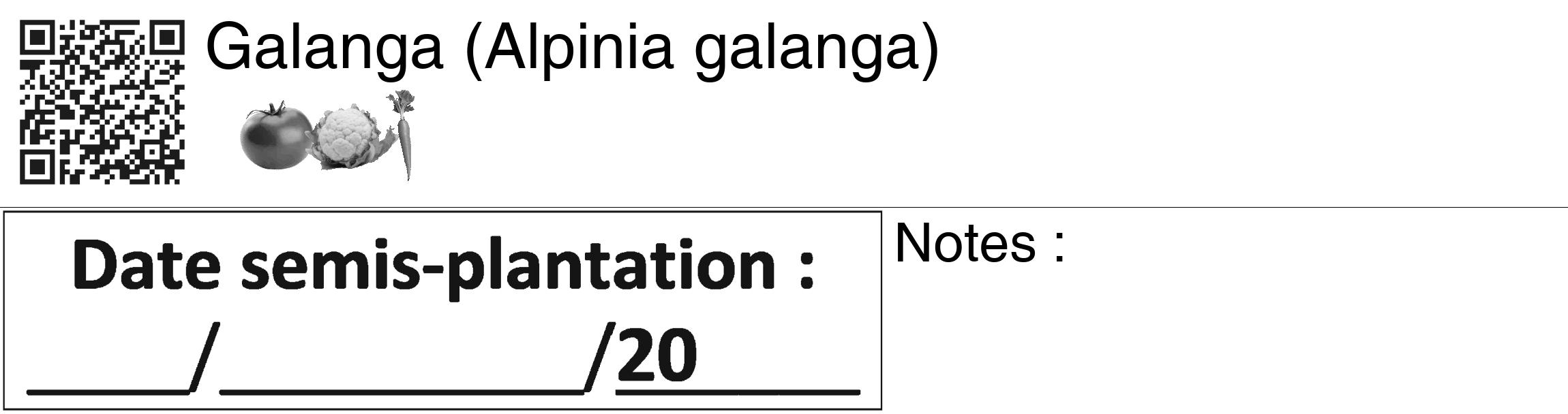 Étiquette de : Alpinia galanga - format c - style noire60_basiquegrrvhel avec qrcode et comestibilité simplifiée