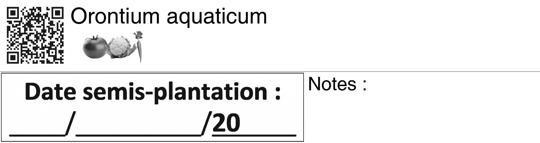 Étiquette de : Orontium aquaticum - format c - style noire60_basiquegrrvhel avec qrcode et comestibilité simplifiée
