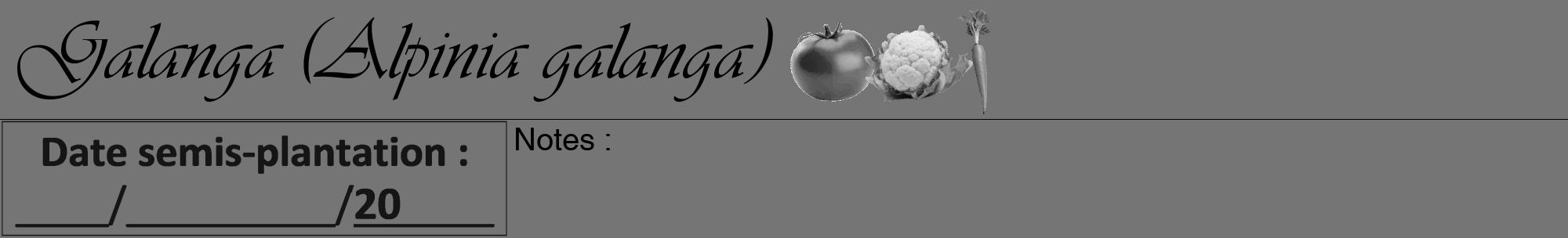 Étiquette de : Alpinia galanga - format a - style noire5viv avec comestibilité simplifiée