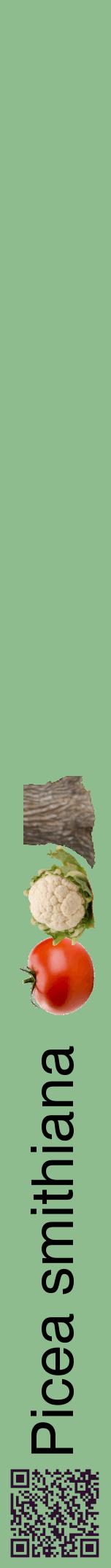 Étiquette de : Picea smithiana - format a - style noire13hel avec qrcode et comestibilité simplifiée