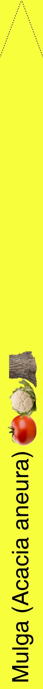Étiquette de : Acacia aneura - format b - style noire18hel avec comestibilité simplifiée